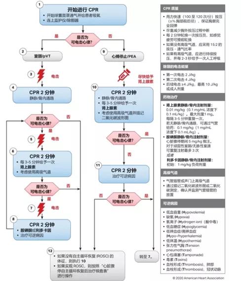 賽為安全應急救援技術(shù)03.jpg