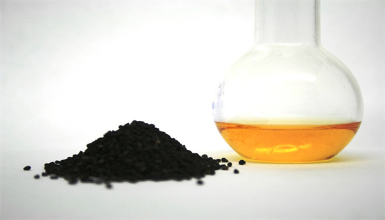 賽為安全 (15).jpg